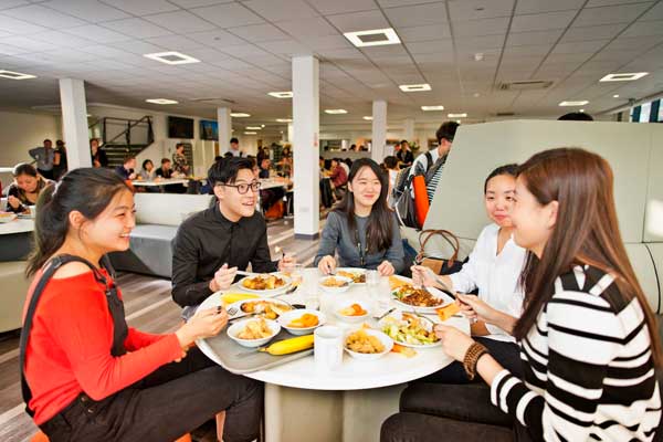 Cats-College-school-students-eatingCats-College-school-students-eating