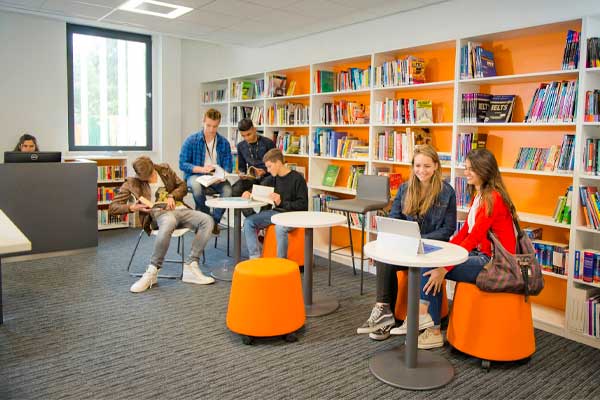 CatsCollege-school-library