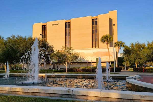 University-of-South-Florida-library