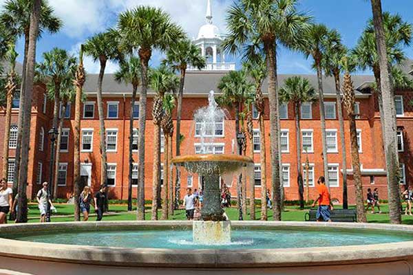 University-of-South-Florida-student-building