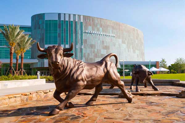 University-of-South-Florida-student-center