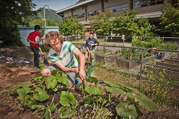 Rockridge-Secondary-students-planting-vegetables